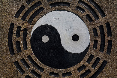 机机对机机手机免费下载2024,科技畅游，安全同行：2024免费应用盛宴探索之旅-4